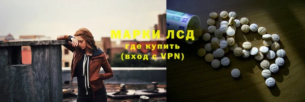прущие грибы Аркадак