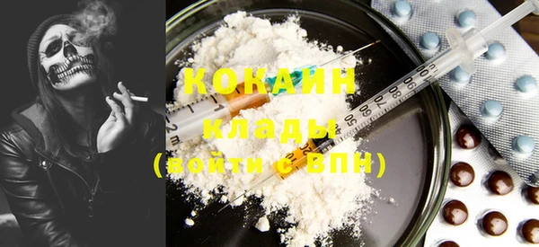 прущие грибы Аркадак
