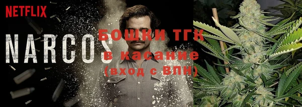 дмт Армянск