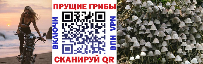 Галлюциногенные грибы GOLDEN TEACHER нарко площадка наркотические препараты Сарапул наркотики